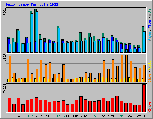 Daily usage for July 2025