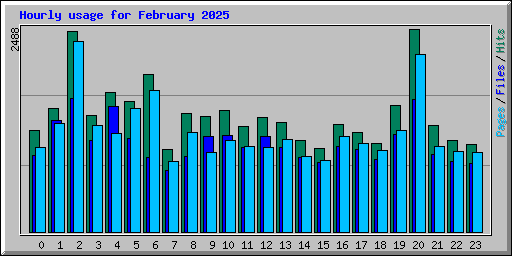 Hourly usage for February 2025