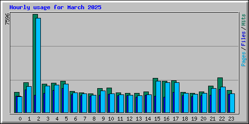 Hourly usage for March 2025