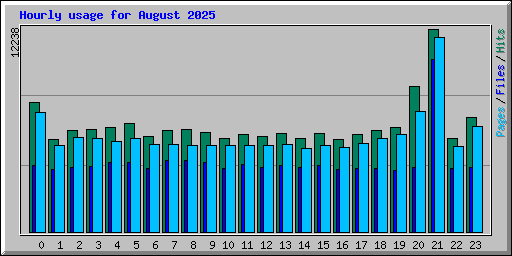 Hourly usage for August 2025