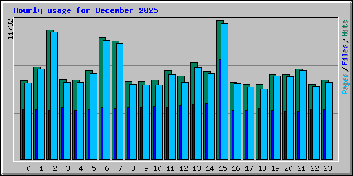 Hourly usage for December 2025