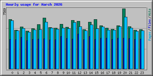 Hourly usage for March 2026